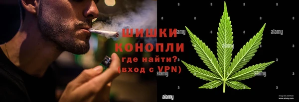 твердый Арсеньев