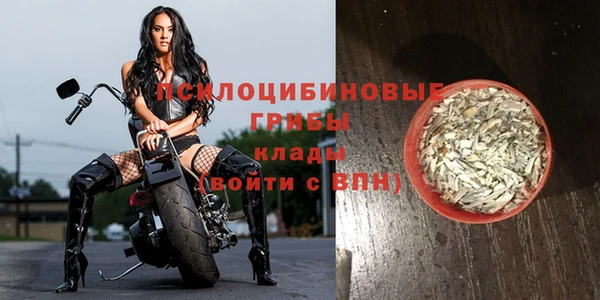 твердый Арсеньев