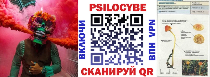 Псилоцибиновые грибы Psilocybine cubensis  блэк спрут маркетплейс  Первомайск 